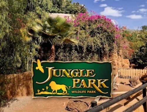 Jungle Park Tenerife