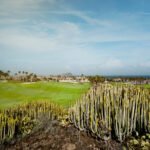 Golf Del Sur